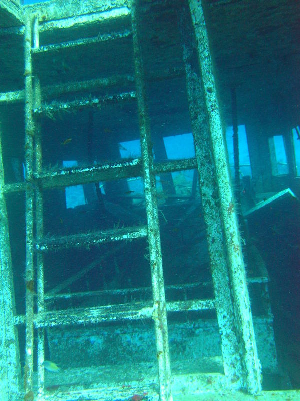 red sea_028.jpg
